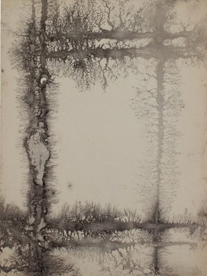 Тарханов Михаил Михайлович. Композиция в бело-серых тонах